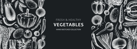 Hand-sketched vegetables design on chalkboard . Hand-drawn tomatoes, squashes, peppers, potatoes, asparagus and other vegetables. Healthy food banner for menu, restaurant, packaging. Botanical frame